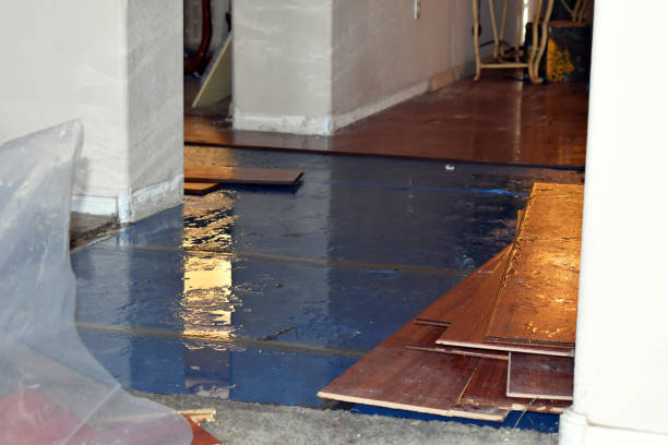 Professional Sewage Cleanup technician working in Versailles, MO